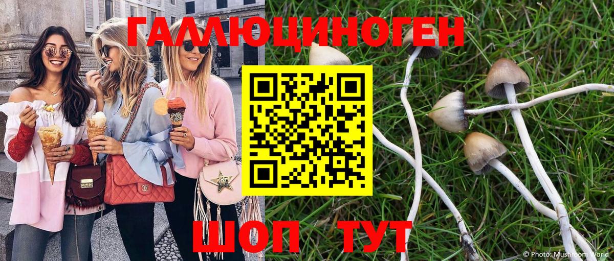 Галлюциногенные грибы Psilocybe Коломна